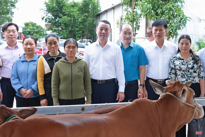 Chương trình trao mô hình sinh kế được triển khai từ nguồn hỗ trợ của Quỹ Cứu trợ tỉnh, nằm trong chuỗi hoạt động hưởng ứng Tháng cao điểm “Vì người nghèo” năm 2026 với mục tiêu hỗ trợ mô hình sinh kế - một trong những giải pháp góp phần thực hiện mục tiêu giảm nghèo bền vững, xây dựng nông thôn mới, đô thị văn minh, ổn định đời sống người dân và thúc đẩy phát triển KT-XH trên địa bàn tỉnh.
