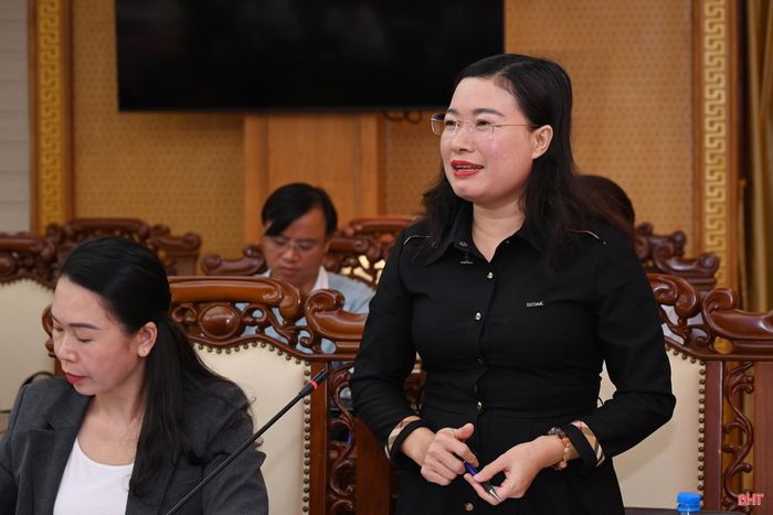 Phó Chủ tịch UBND tỉnh Nguyễn Thị Nguyệt trao đổi một số vấn đề các nhà báo, phóng viên quan tâm.