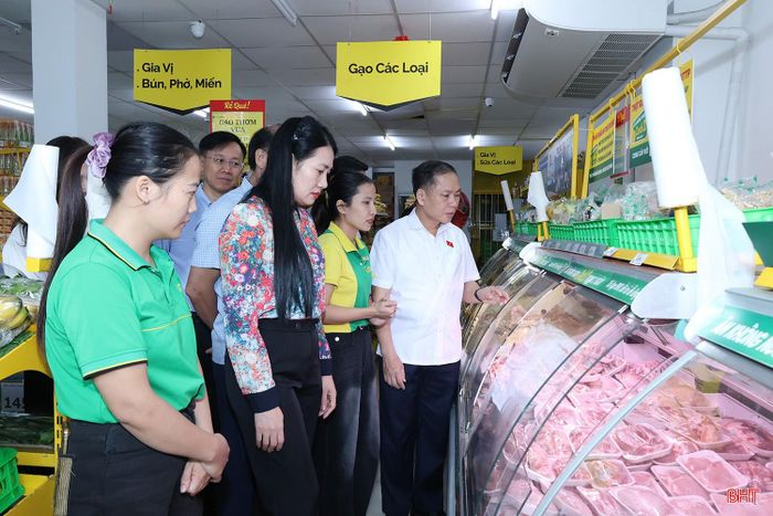 Đoàn khảo sát việc thực hiện các chính sách, pháp luật về an toàn thực phẩm tại Cửa hàng Bách Hóa Xanh Hà Tĩnh trên địa bàn xã Thạch Hà.