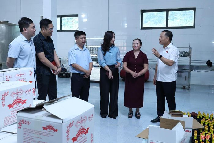 Đoàn đánh giá cao việc chấp hành quy định về an toàn thực phẩm của các cơ sở sản xuất, chế biến thực phẩm.