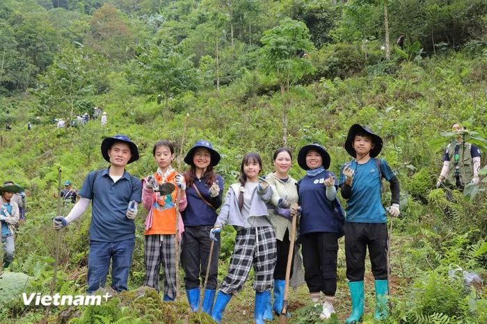 Nâng cao chất lượng lao động ngành nông nghiệp. (Ảnh: Nguyễn Cường)