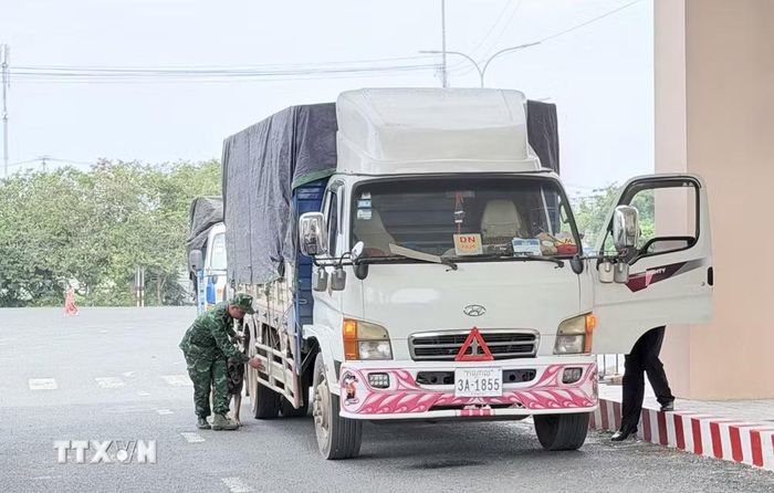Lực lượng biên phòng, hải quan kiểm tra hàng hóa từ Campuchia nhập khẩu vào Việt Nam qua Cửa khẩu quốc tế đường bộ Khánh Bình, tỉnh An Giang. (Ảnh: Thanh Sang/TTXVN)
