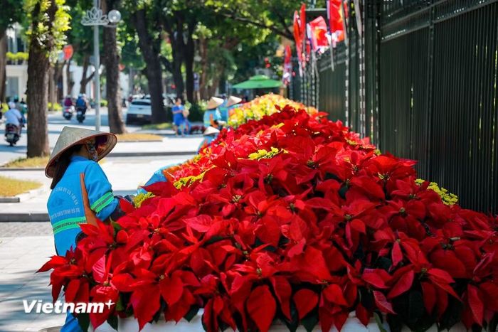 Dưới tiết trời thu dịu mát, không khí hoan hỷ, tự hào lan tỏa khắp từng con phố, ngõ ngách, gợi nhắc về thời khắc lịch sử thiêng liêng khi đoàn quân chiến thắng trở về tiếp quản Thủ đô tròn 72 năm về trước. (Ảnh: Hoài Nam/Vietnam+)