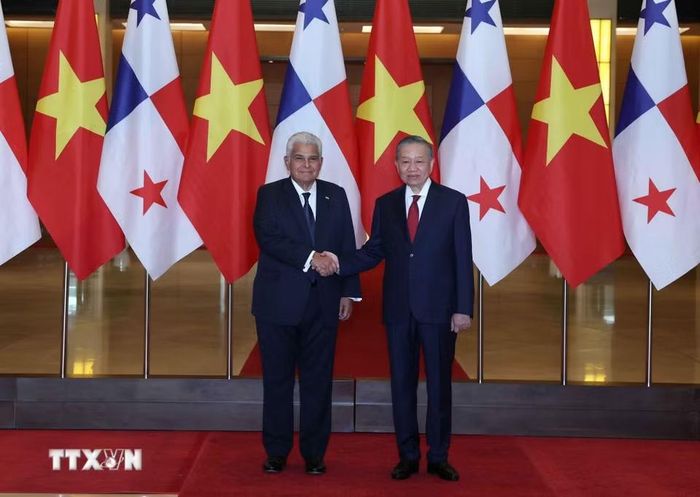 Tổng Bí thư, Chủ tịch nước Tô Lâm và Tổng thống Panama José Raúl Mulino. (Ảnh: Thống Nhất/TTXVN)