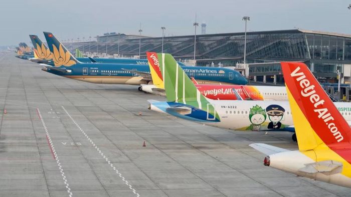 Các hãng hàng không Việt Nam đã tiếp tục bổ sung đội tàu bay nhằm mở rộng thị trường vận tải. (Ảnh: PV/Vietnam+)