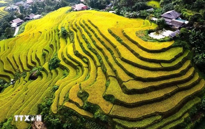 Những nếp ruộng xếp tầng bên mái nhà và ao nhỏ. (Ảnh: Minh Tâm/TTXVN)