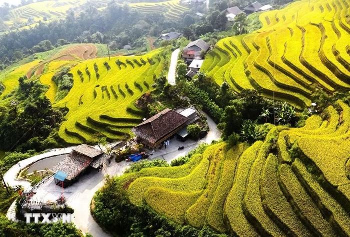 Con đường uốn quanh những mái nhà giữa mùa vàng. (Ảnh: Minh Tâm/TTXVN)