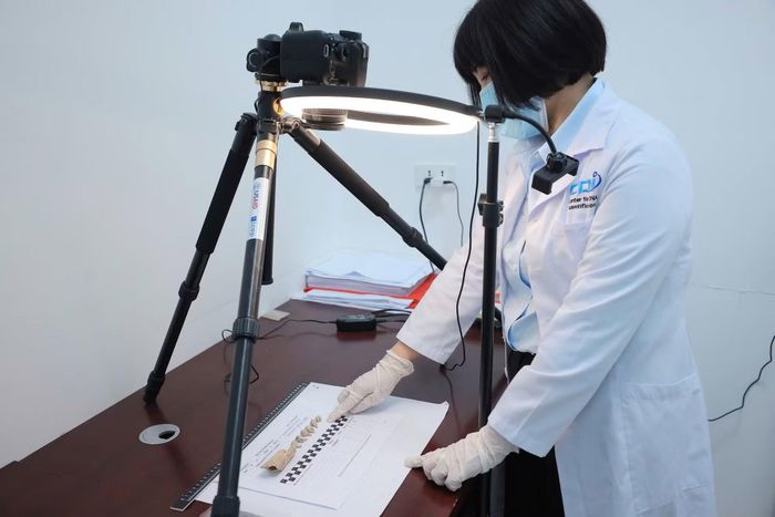 So sánh đối chiếu giải trình tự gen ADN.