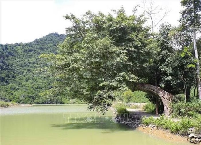 Những cảnh quan nguyên sơ như mặt nước, núi rừng và cây cổ thụ tạo nên không gian thư giãn, trải nghiệm gần gũi thiên nhiên cho du khách đến Thanh Yên. Ảnh: Xuân Tư/TTXVN