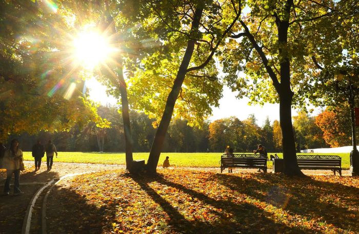 Người dân Moskva đến công viên trong thành phố để chiêm ngưỡng cảnh sắc độc đáo của mùa thu vàng.