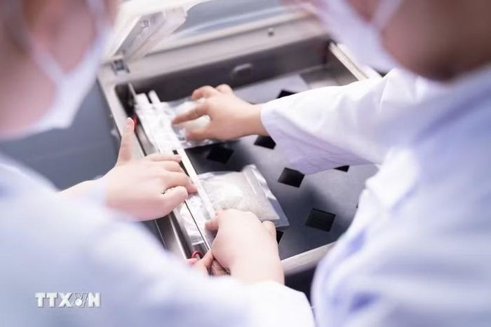 Sinh viên nghiên cứu quy trình sản xuất cơm ăn liền trong phòng thí nghiệm. Ảnh minh họa: TTXVN phát