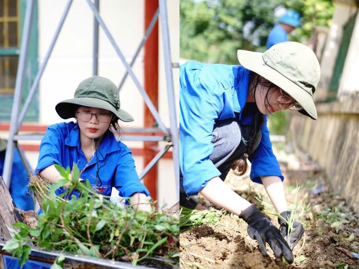 Thương tích cực tham gia các hoạt động tình nguyện.