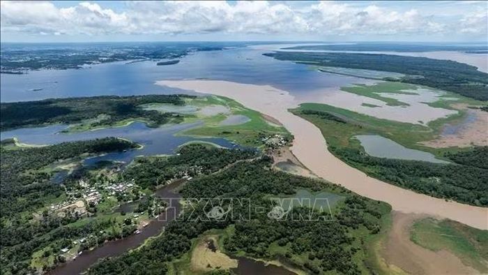 Sông Amazon tại Amazonas, Brazil. Ảnh tư liệu: THX/TTXVN