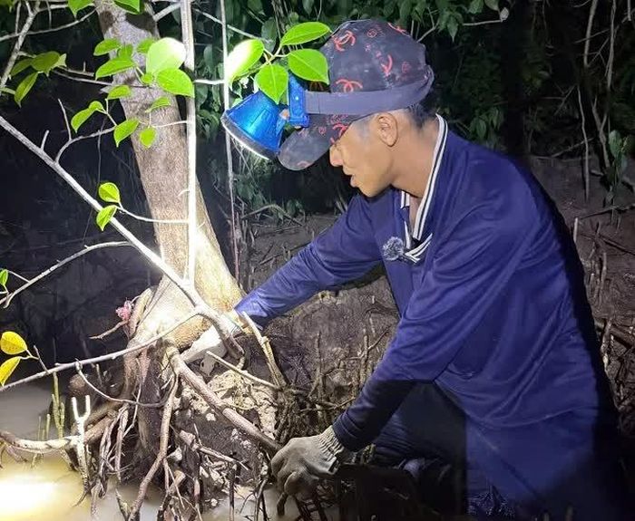 Người bắt ba khía ở rừng ngập mặn gần như phải lội dưới bùn trong suốt hành trình.