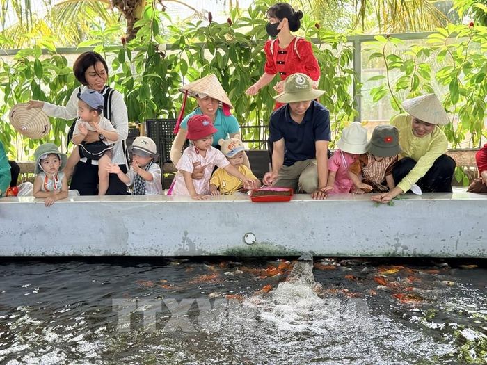 Hồ cá Koi là nơi thu hút du khách thiếu nhi tại Suối Gạo. Ảnh: Hồng Nhung - TTXVN