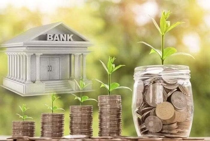 Theo một số ý kiến, nên cầm 100 triệu đồng đi gửi tiết kiệm vừa giữ được vốn vừa có lãi