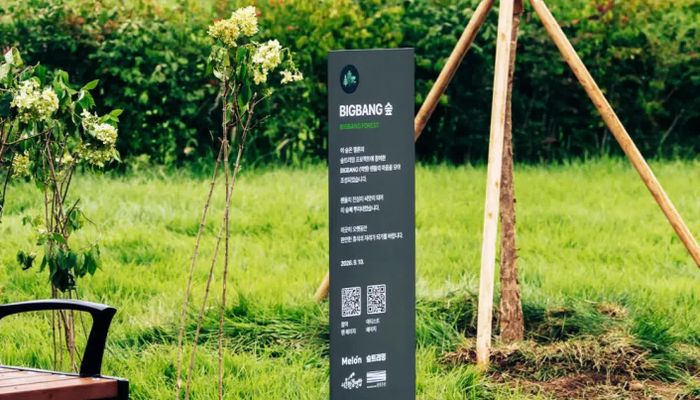 Một tấm biển chỉ dẫn đến khu rừng Big Bang nằm trong khu rừng thuộc công viên Nanji Hangang ở quận Mapo, phía tây Seoul. Ảnh: KAKAO ENTERTAINMENT