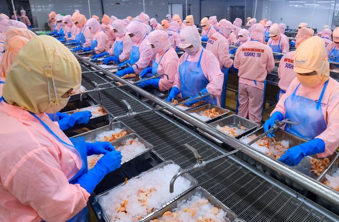 Thủy sản đầu vào được áp thuế "mỗi nơi một kiểu" do cách áp dụng chính sách thuế có sự vênh nhau. Ảnh: Hoàng Anh.