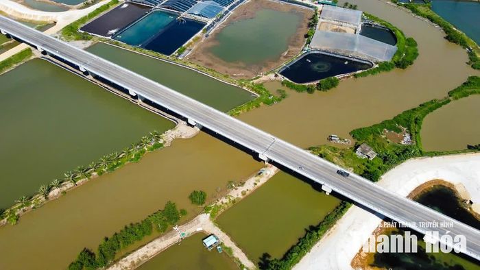 Trên toàn tuyến có 4 cầu, gồm 3 cầu lớn vượt sông Lèn, sông Lạch Trường, kênh De và một cầu trung vượt kênh Hói Đào. Một số đoạn tuyến đã hoàn thiện, kết nối với hệ thống giao thông hiện hữu.