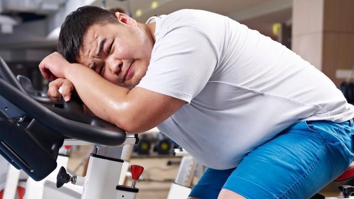 Béo phì góp phần gây bệnh tim mạch như xơ vữa động mạch, suy tim, rung nhĩ và một số bệnh van tim. Ảnh minh họa: Phytex Pharma