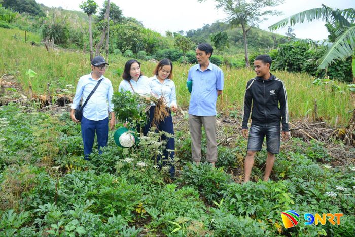 Cán bộ Trung tâm Khuyến nông Đà Nẵng trực tiếp hướng dẫn kỹ thuật cho hộ dân. Ảnh: HỮU ANH
