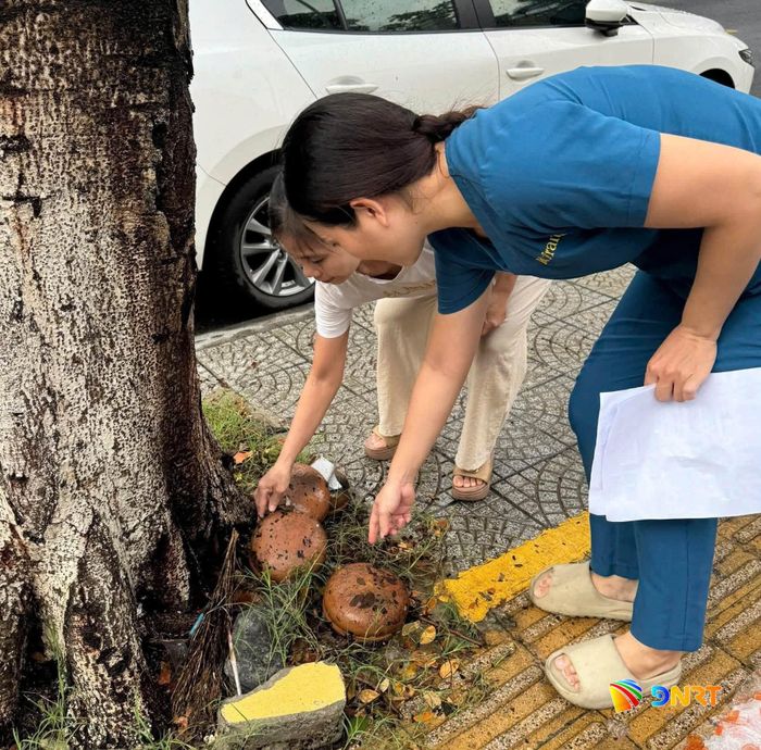 Phường An Hải vận động người dân xử lý ao tù, nước đọng phòng, chống dịch sốt xuất huyết. Ảnh: BÙI HƯỜNG