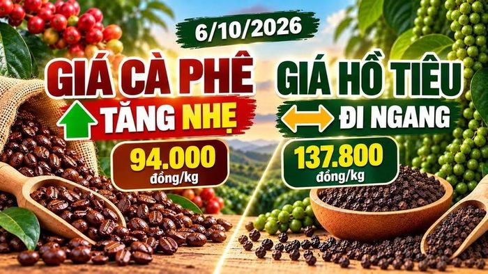 Hình minh họa.