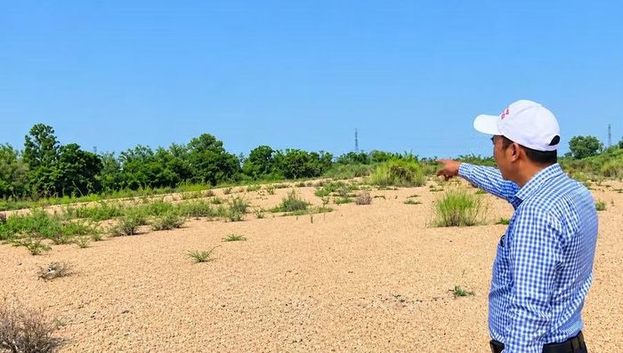 Khu vực dự kiến cấp phép mỏ cát xây dựng tại xã Tuy Phước Bắc. Ảnh: C.L