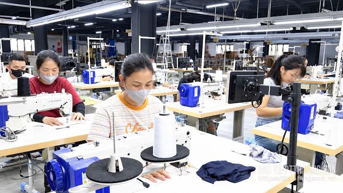 Công nhân làm việc trong Nhà máy sản xuất may mặc Winson tại Cụm Công nghiệp Hồ Sơn 1