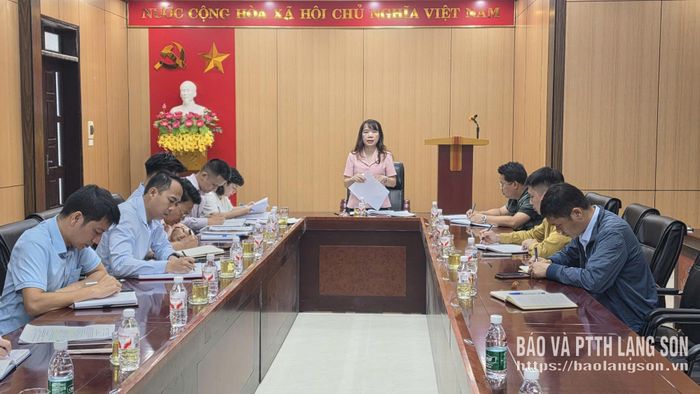 Đoàn kiểm tra số 1 làm việc với chủ đầu tư, các đơn vị liên quan dự án