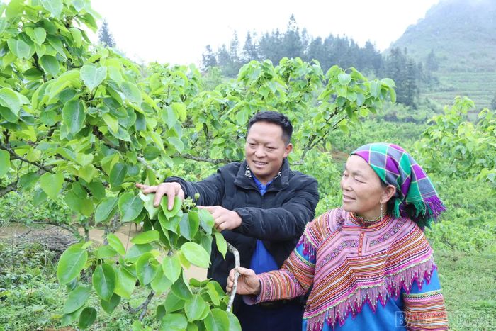 Các mô hình phát triển kinh tế của tuổi trẻ Si Ma Cai trong những năm qua đã tạo sức lan tỏa trong cộng đồng.
