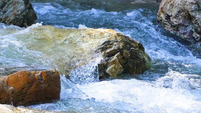 Du khách tìm đến Voi Phục để tận hưởng không gian yên bình, trong lành.