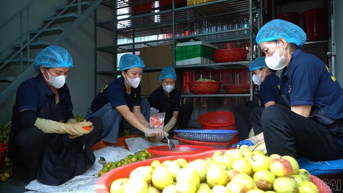Sơn tra sau thu hoạch được các hợp tác xã thu mua, phân loại và sơ chế, từng bước nâng cao giá trị của loại quả đặc sản vùng cao.