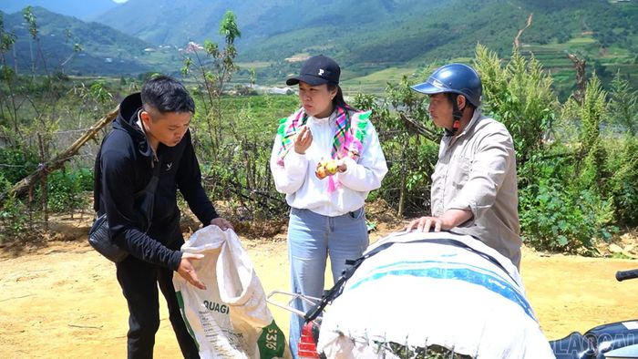 Kiểm tra chất lượng, phân loại để trả giá phù hợp.