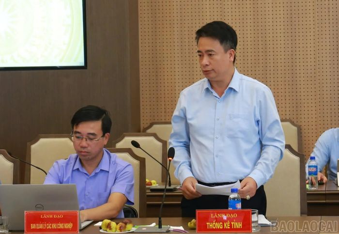 Lãnh đạo Thống kê tỉnh phát biểu tại buổi làm việc.