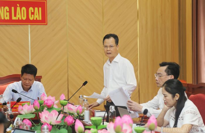 Phó Chủ tịch UBND tỉnh Nguyễn Thành Sinh phát biểu tại buổi làm việc.