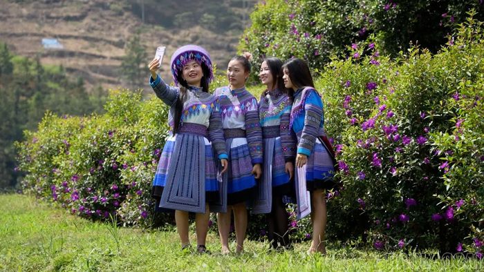 Rồng Hoa Farm thu hút người dân, du khách đến tham quan, chụp ảnh vào thời điểm hoa mua nở rộ.