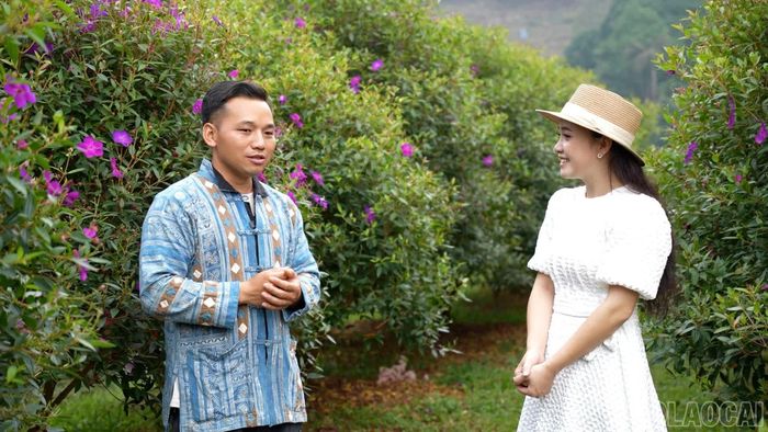 Anh Thào Seo Lìn lựa chọn hoa mua Thái bởi đây là loài cây dễ sống, phù hợp với điều kiện khí hậu, thổ nhưỡng ở Pha Long.