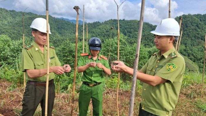Lực lượng chức năng giải cứu cá thể chim di cư.