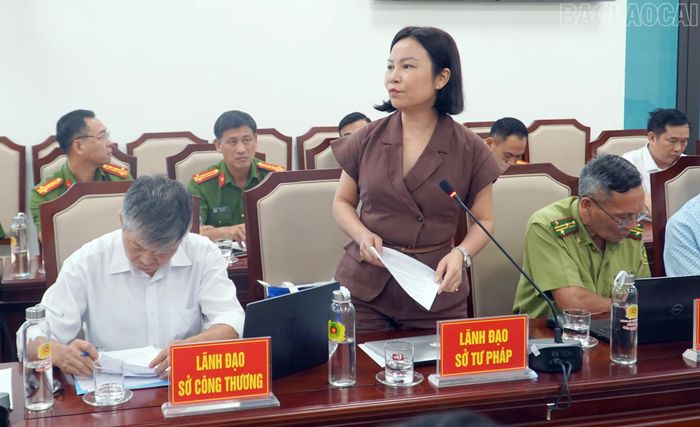 Lãnh đạo Sở Tư pháp tham gia ý kiến tại hội nghị.