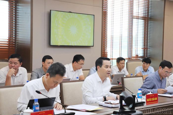 Đồng chí Nguyễn Tuấn Anh - Phó Bí thư Tỉnh uỷ, Chủ tịch UBND tỉnh phát biểu kết luận buổi làm việc.