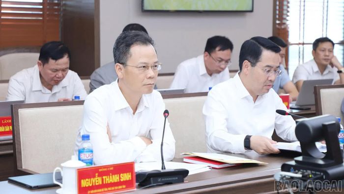 Đồng chí Nguyễn Thành Sinh - Phó Chủ tịch UBND tỉnh phát biểu tại buổi làm việc.