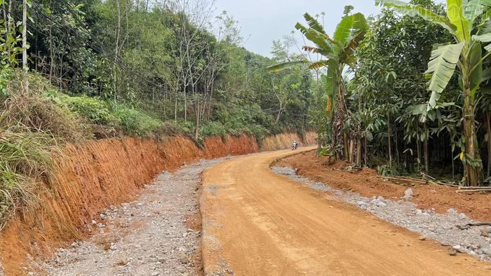 Tuyến đường thôn 5, xã Phong Hải được mở rộng với sự đồng thuận, hiến đất của 20 hộ dân.