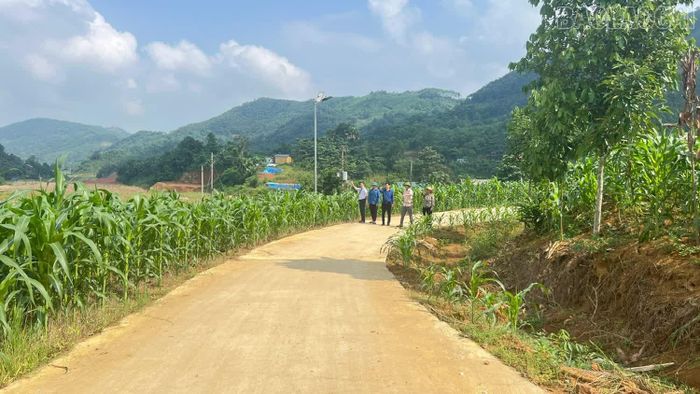 Từ đầu năm đến nay, hội viên nông dân trong tỉnh đã hiến hơn 314.000 m² đất xây dựng đường giao thông và các công trình phúc lợi.