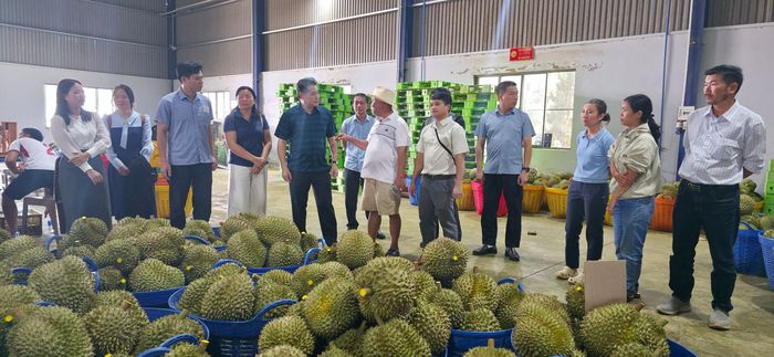 Hiệu quả MSVT và CSĐG chỉ bền vững khi hình thành chuỗi liên kết sản xuất gắn với yêu cầu thị trường