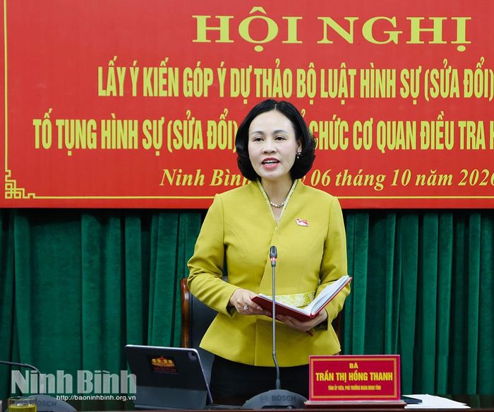 Đồng chí Phó Trưởng Đoàn đại biểu Quốc hội tỉnh Trần Thị Hồng Thanh phát biểu kết luận hội nghị.