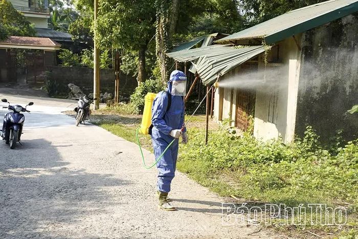 Phun thuốc tiêu độc, khử trùng thường xuyên được xem là một trong những biện pháp để ngăn chặn sự lây lan của dịch tả lợn châu Phi.
