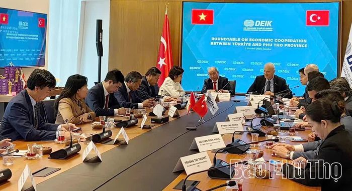 Đồng chí Phó Bí thư Tỉnh ủy, Chủ tịch HĐND tỉnh Bùi Đức Hinh phát biểu tại buổi làm việc với Ủy ban Kinh tế Đối ngoại Thổ Nhĩ Kỳ (DEIK).