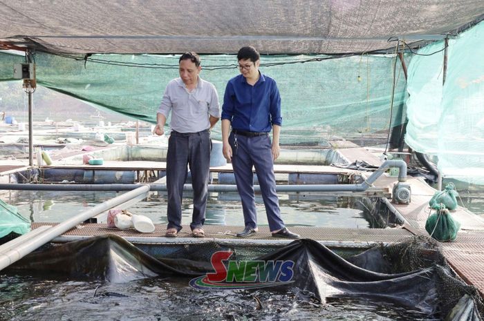 Mô hình nuôi cá lồng của CCB Phạm Văn Doanh, bản Pá Uôn, xã Quỳnh Nhai.
