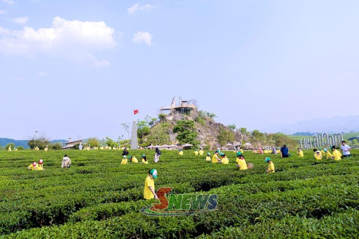 Học sinh tham quan, trải nghiệm tại Khu du lịch Mocha Hill, phường Vân Sơn.